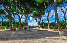 Апельсиновый сад