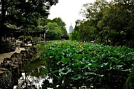 Сады Сучжоу