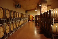 Винный завод КЕО